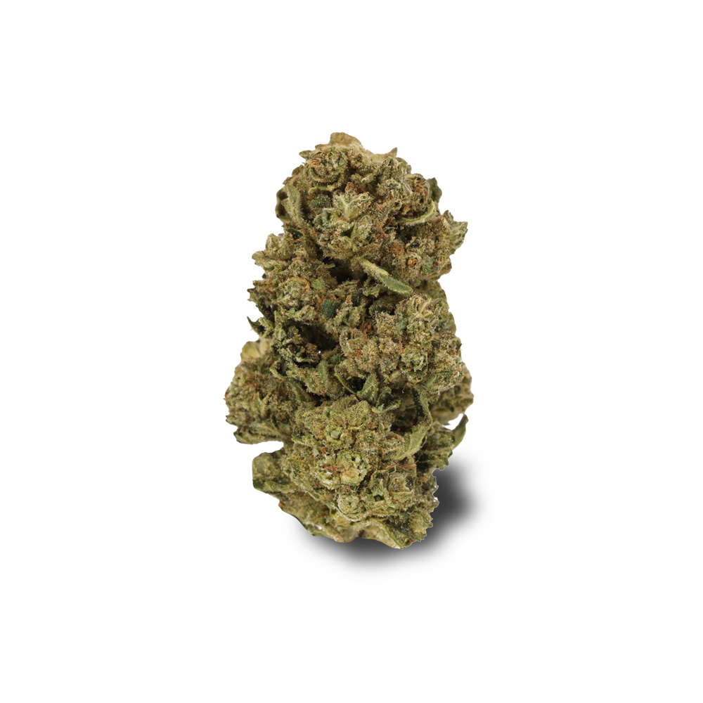 Starhaze OG