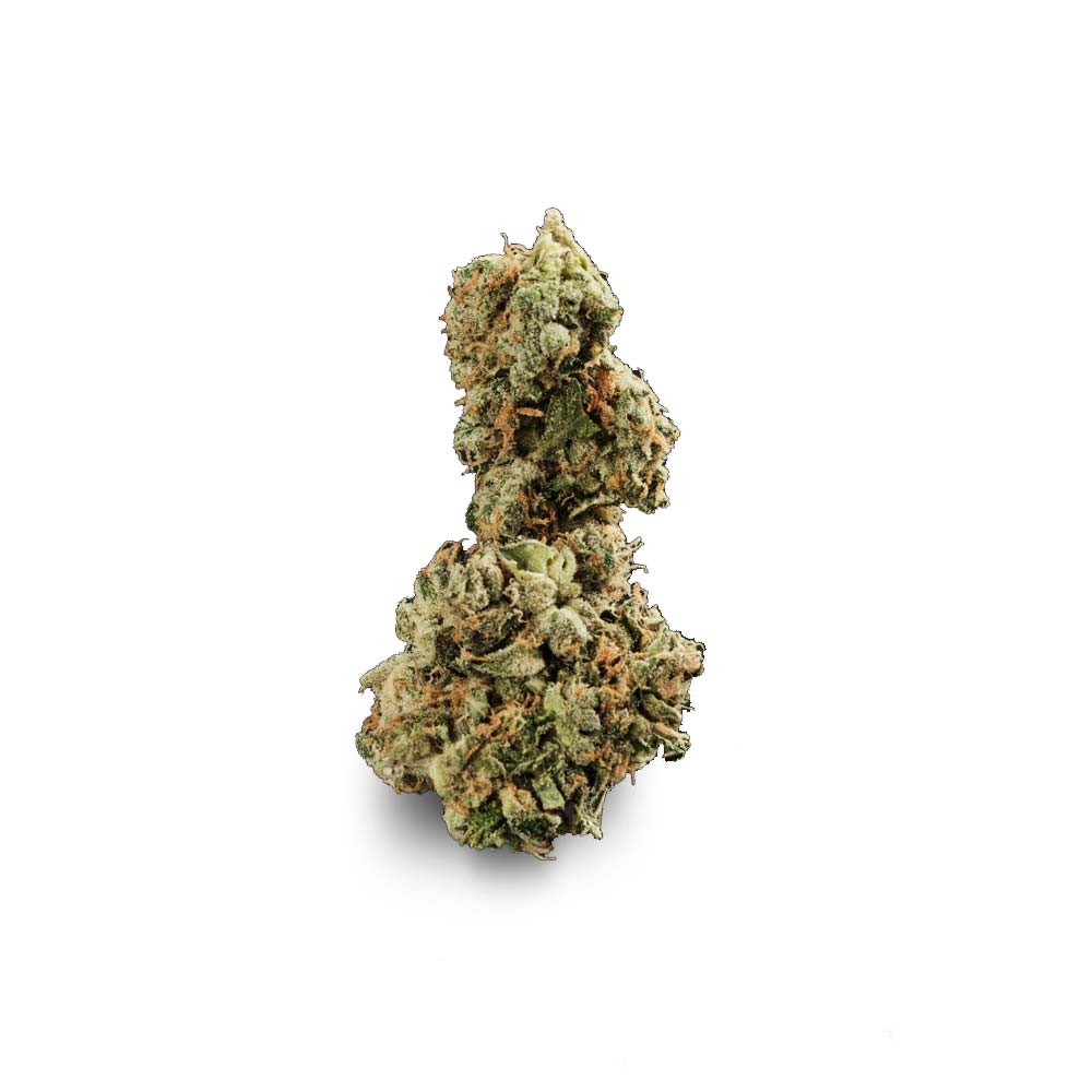 GMO (Garlic Cookies)