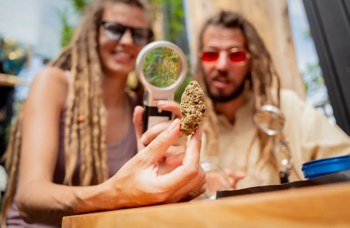 Cannafair Düsseldorf 2026 - Cannabis Messe NRW
