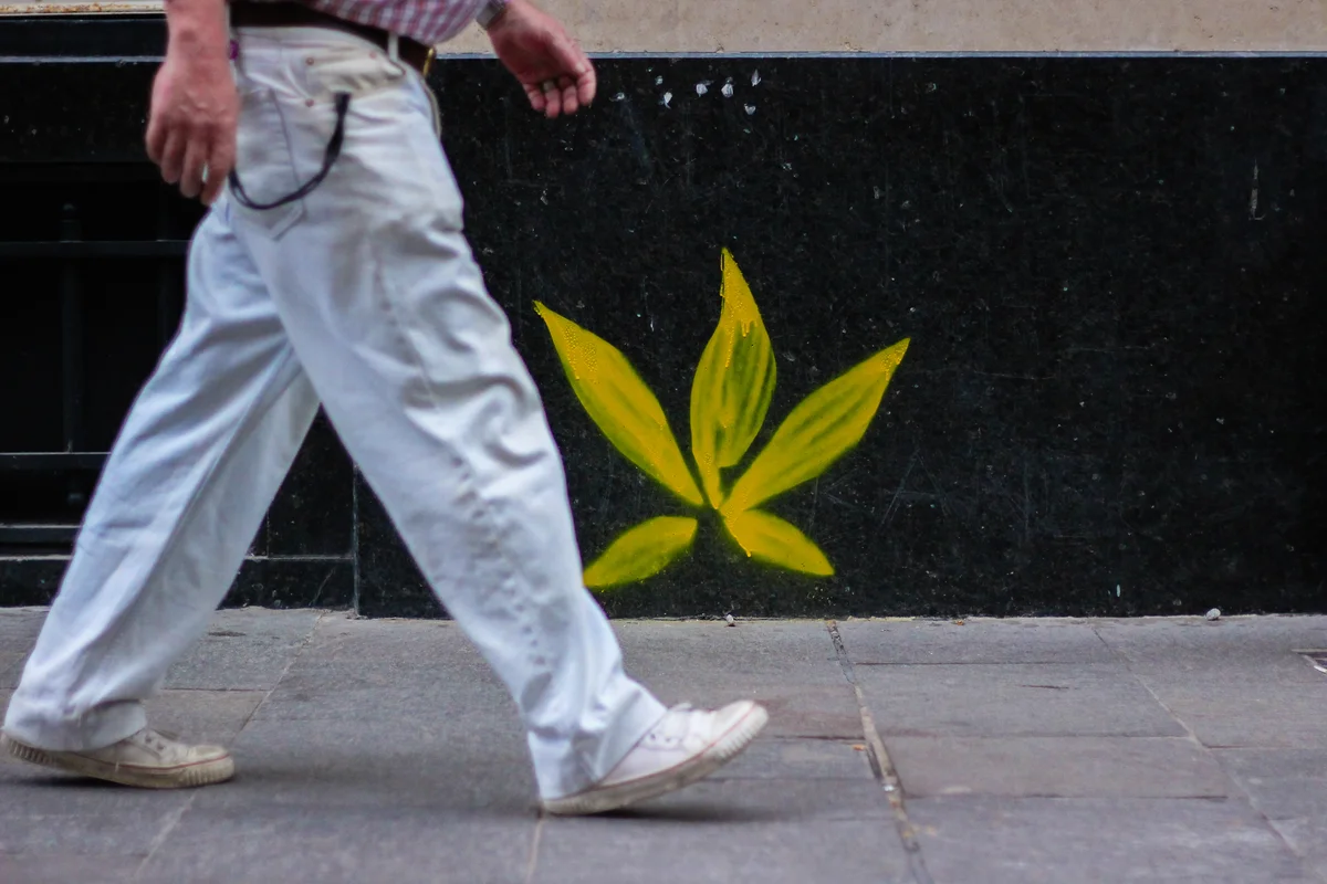 Hanfparade Deutschland - Guide & Tipps zur Cannabis Demo