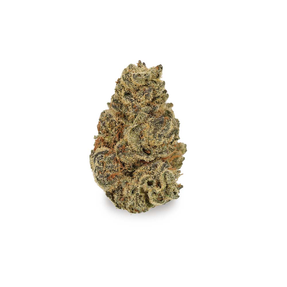 Orange Bud
