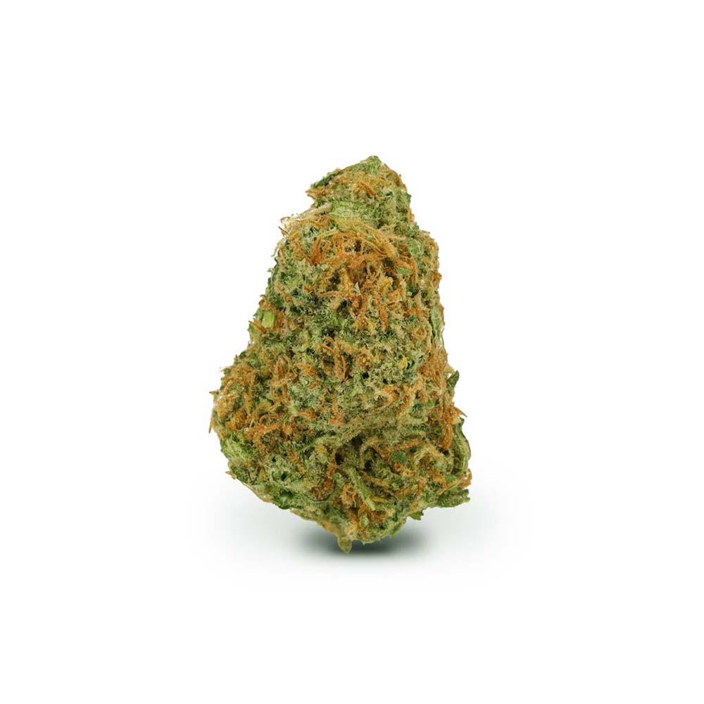 Gelato Dream