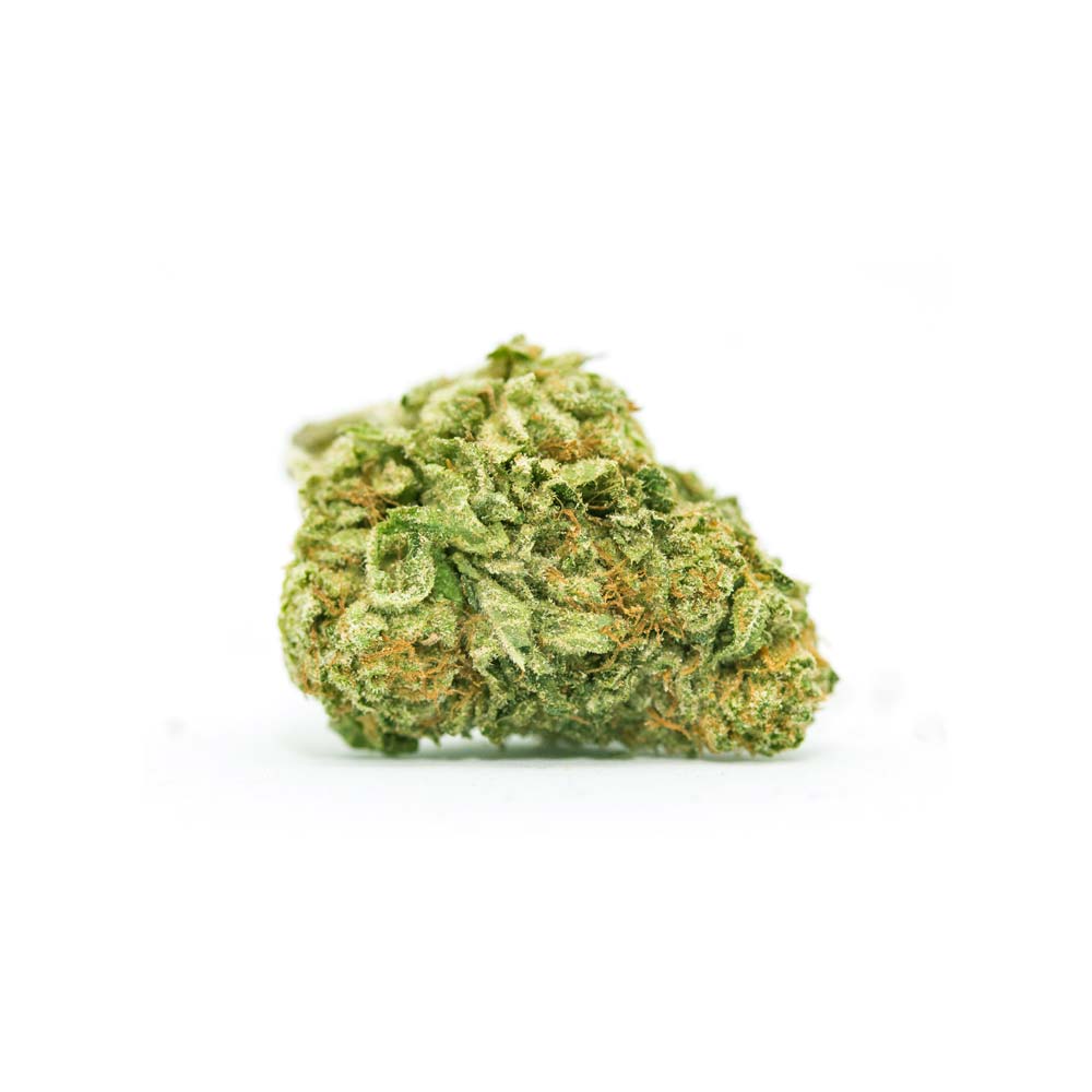 White Herer