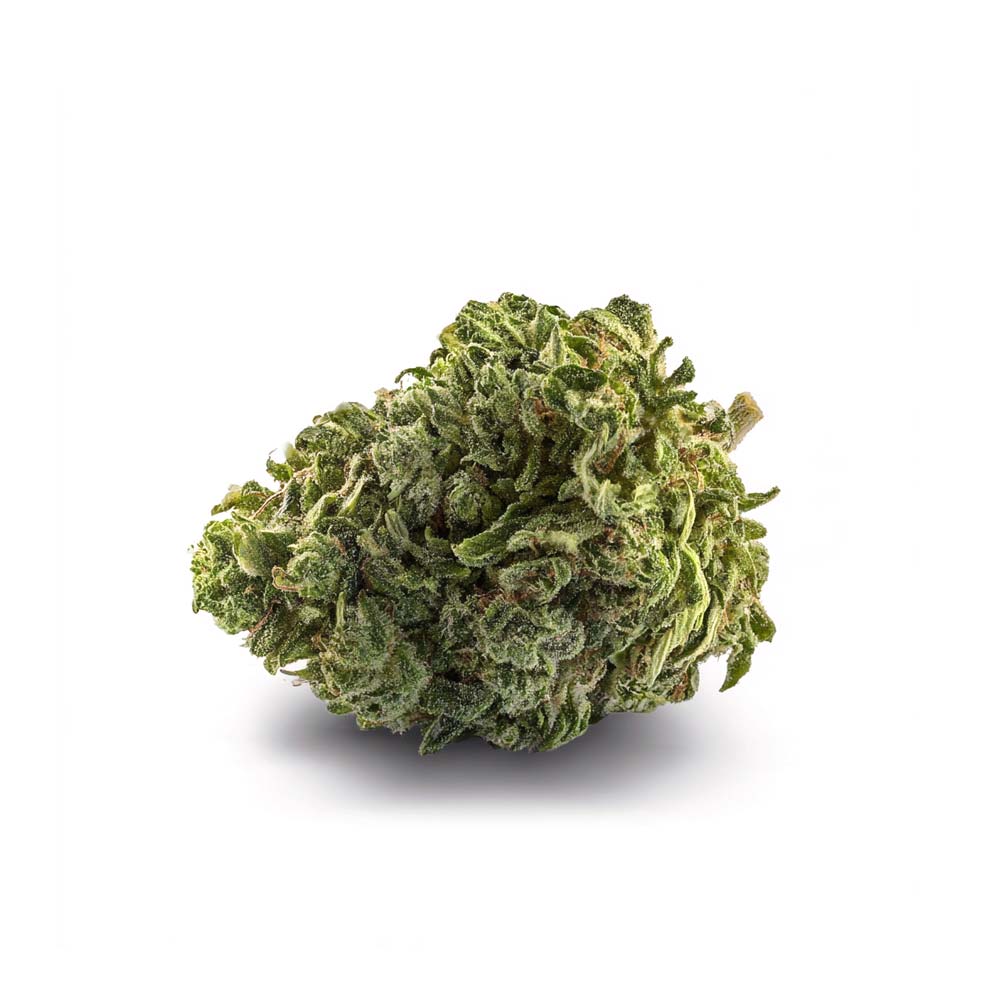 Kush Mintz
